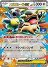 Mega-Kangama-ex