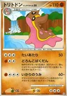 Gastrodon Westliches Meer