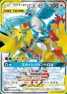 Lavados & Zapdos & Arktos-GX