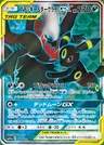 Nachtara-TAG TEAM-GX