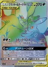 Nachtara-TAG TEAM-GX