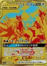 Lavados-TAG TEAM-GX