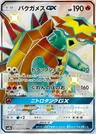 Tortunator GX