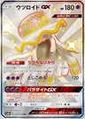 Anego GX