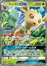 Folipurba GX