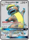 Manguspektor GX