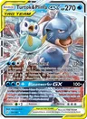 Turtok & Plinfa GX