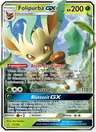 Folipurba GX