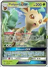 Folipurba GX