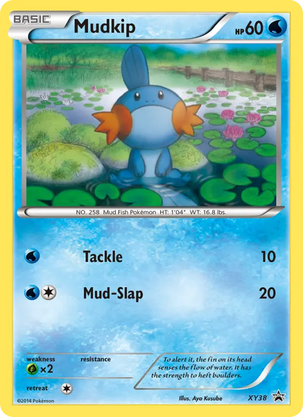 Hydropi